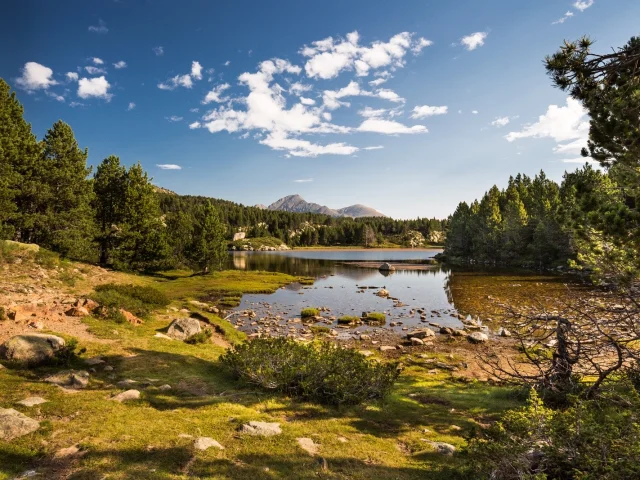 Paysage de montagne dans les Pyrénées-Orientales : un lac d’altitude entouré de pins et de prairies, avec les sommets du Canigó en arrière-plan sous un ciel bleu.