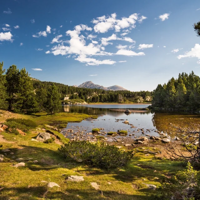 Paysage de montagne dans les Pyrénées-Orientales : un lac d’altitude entouré de pins et de prairies, avec les sommets du Canigó en arrière-plan sous un ciel bleu.