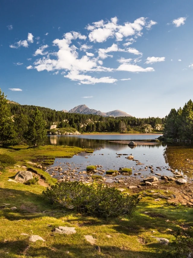 Paysage de montagne dans les Pyrénées-Orientales : un lac d’altitude entouré de pins et de prairies, avec les sommets du Canigó en arrière-plan sous un ciel bleu.