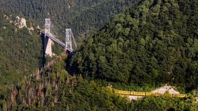Le Train Jaune traverse un pont suspendu au-dessus d’une vallée boisée dans les Pyrénées-Orientales.