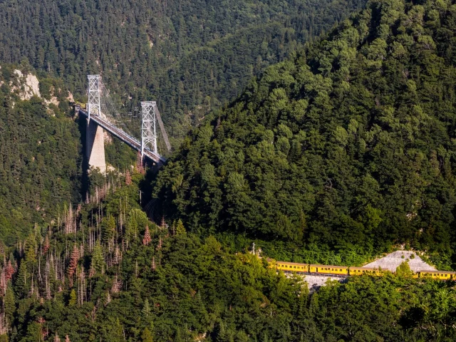 Le Train Jaune traverse un pont suspendu au-dessus d’une vallée boisée dans les Pyrénées-Orientales.