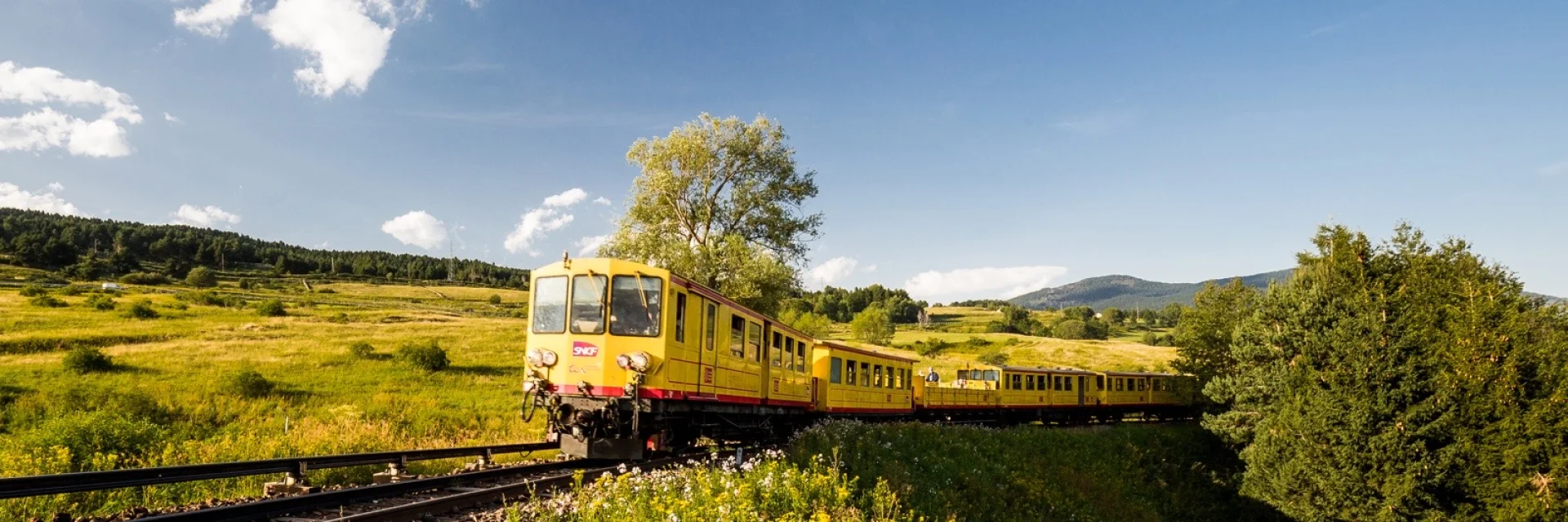 Le Train Jaune traverse un paysage verdoyant de montagne sous un ciel bleu, dans les Pyrénées-Orientales.