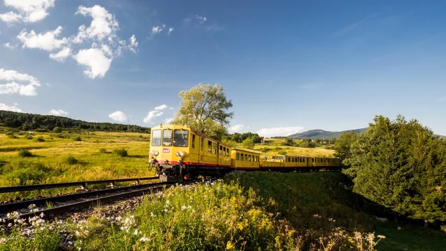 Le Train Jaune traverse un paysage verdoyant de montagne sous un ciel bleu, dans les Pyrénées-Orientales.