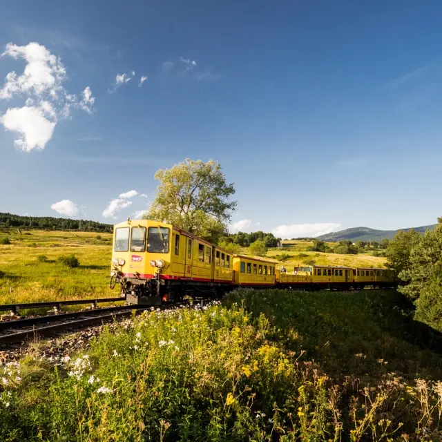 Le Train Jaune traverse un paysage verdoyant de montagne sous un ciel bleu, dans les Pyrénées-Orientales.