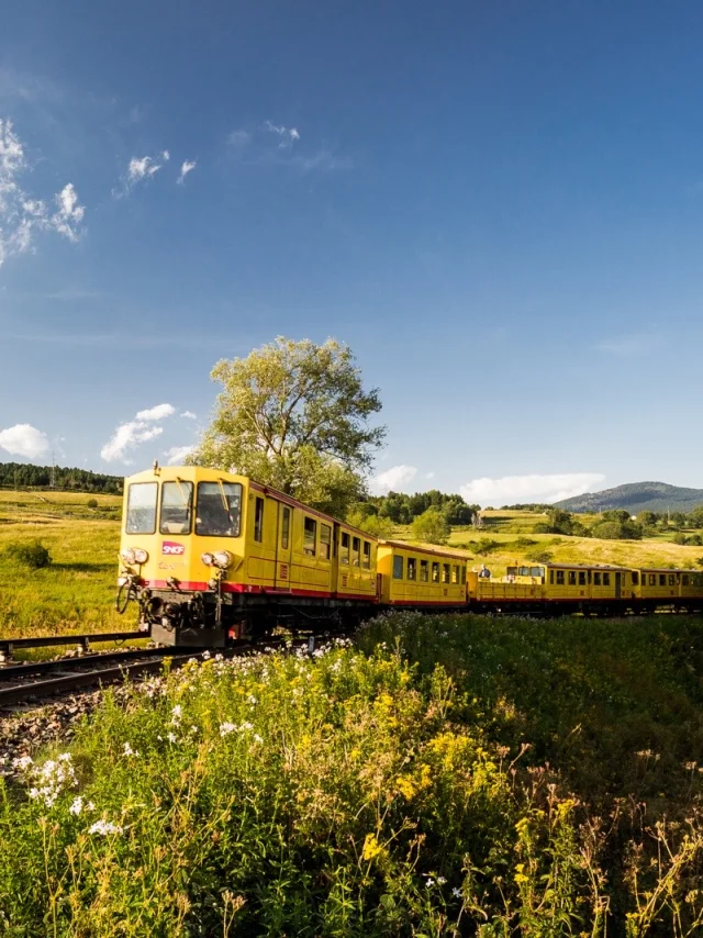 Le Train Jaune traverse un paysage verdoyant de montagne sous un ciel bleu, dans les Pyrénées-Orientales.