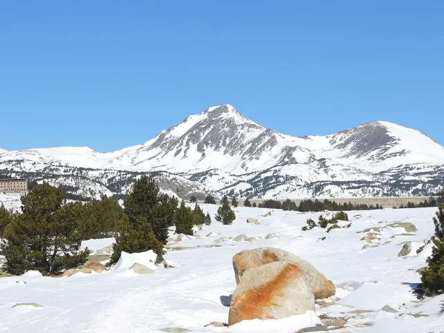 Paysage de montagne enneigée dans les Pyrénées-Orientales, avec le pic du Cambre d’Aze sous un ciel bleu et quelques pins épars sur la neige.