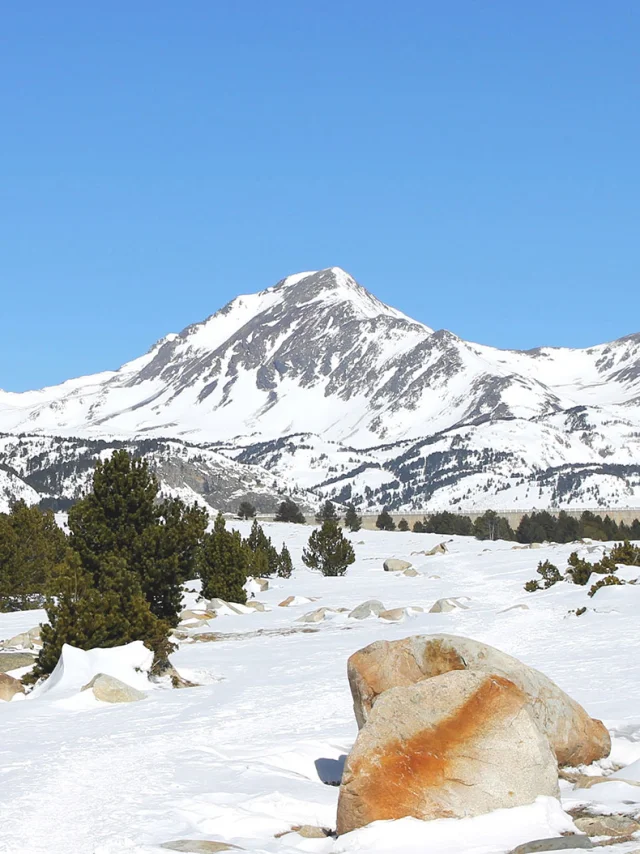 Paysage de montagne enneigée dans les Pyrénées-Orientales, avec le pic du Cambre d’Aze sous un ciel bleu et quelques pins épars sur la neige.