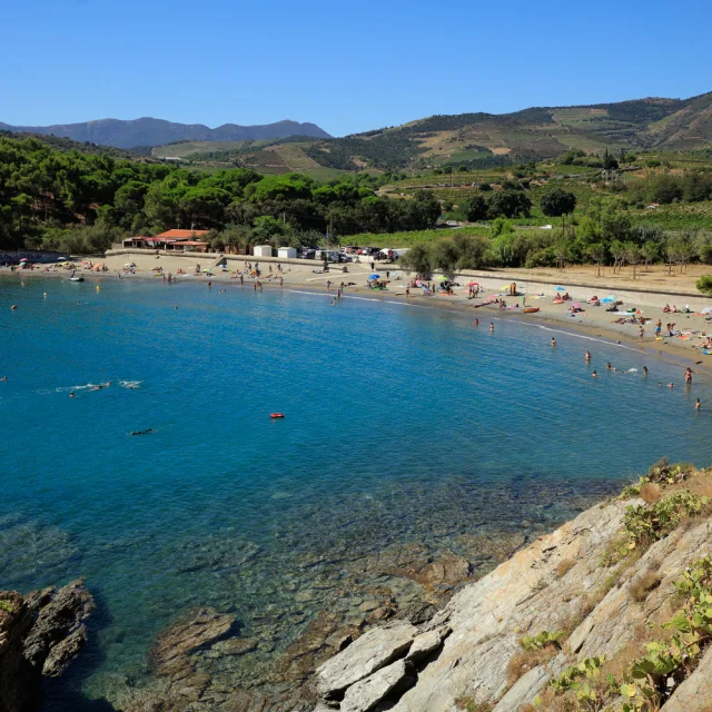 Plage de la crique de Paulilles dans les Pyrénées-Orientales, bordée d’eaux turquoise et entourée de collines verdoyantes.