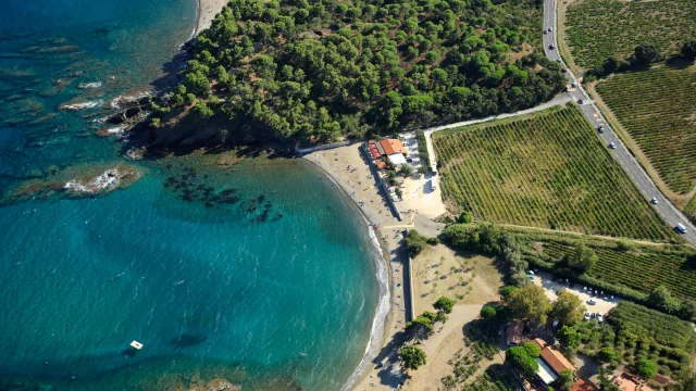 Vue aérienne de la baie de Paulilles dans les Pyrénées-Orientales, avec sa plage bordée de pins et de vignes plongeant vers la mer turquoise.