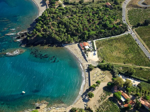 Vue aérienne de la baie de Paulilles dans les Pyrénées-Orientales, avec sa plage bordée de pins et de vignes plongeant vers la mer turquoise.