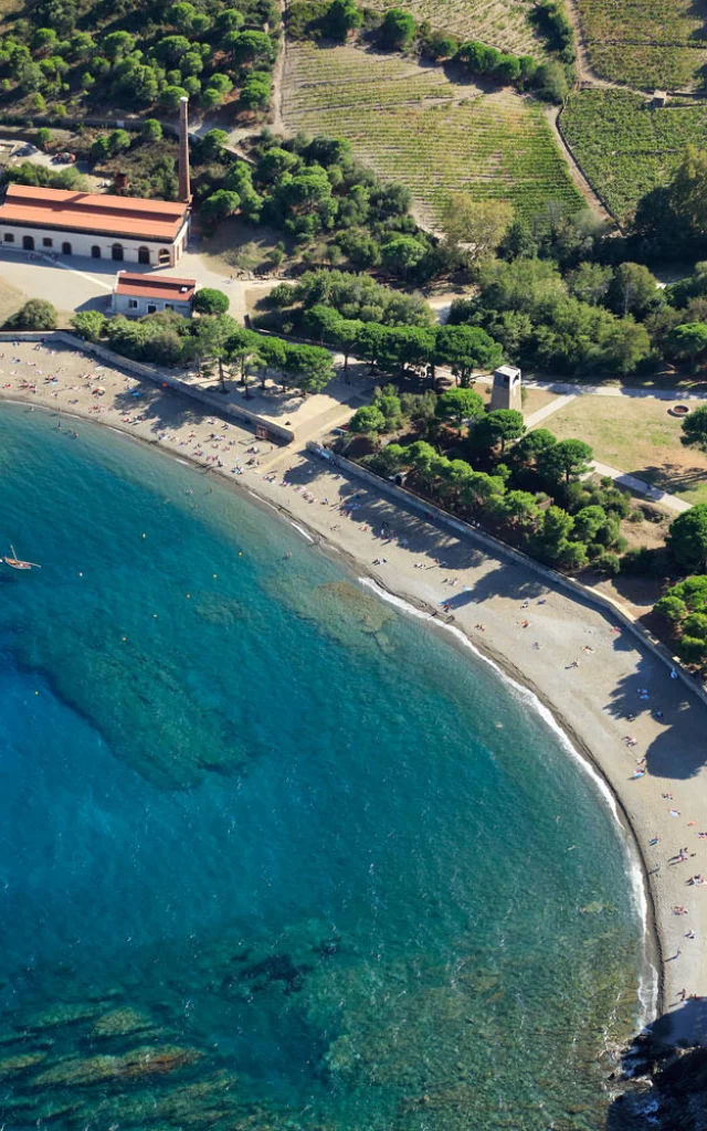 Vue aérienne de la crique de Paulilles dans les Pyrénées-Orientales, avec sa plage de galets bordée d’eaux turquoise et entourée de verdure.