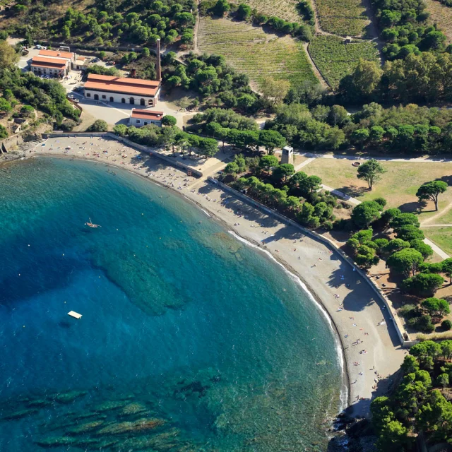 Vue aérienne de la crique de Paulilles dans les Pyrénées-Orientales, avec sa plage de galets bordée d’eaux turquoise et entourée de verdure.