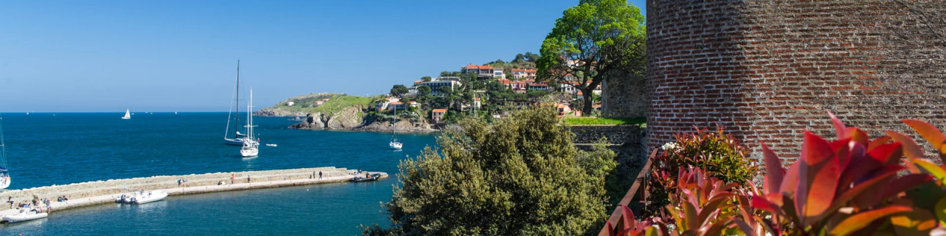 Vue sur le port de Collioure et le Château Royal en bord de mer, avec des voiliers naviguant dans la baie sous un ciel bleu.
