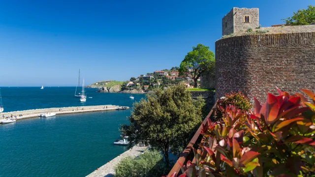 Vue sur le port de Collioure et le Château Royal en bord de mer, avec des voiliers naviguant dans la baie sous un ciel bleu.