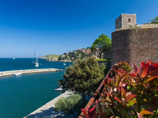 Vue sur le port de Collioure et le Château Royal en bord de mer, avec des voiliers naviguant dans la baie sous un ciel bleu.