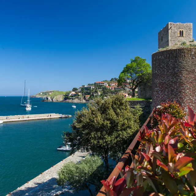 Vue sur le port de Collioure et le Château Royal en bord de mer, avec des voiliers naviguant dans la baie sous un ciel bleu.