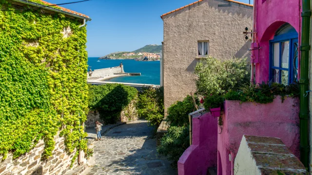 Rue pittoresque de Collioure bordée de maisons colorées, dont une façade rose vif et une autre couverte de lierre, avec vue sur la mer Méditerranée et la jetée du port.