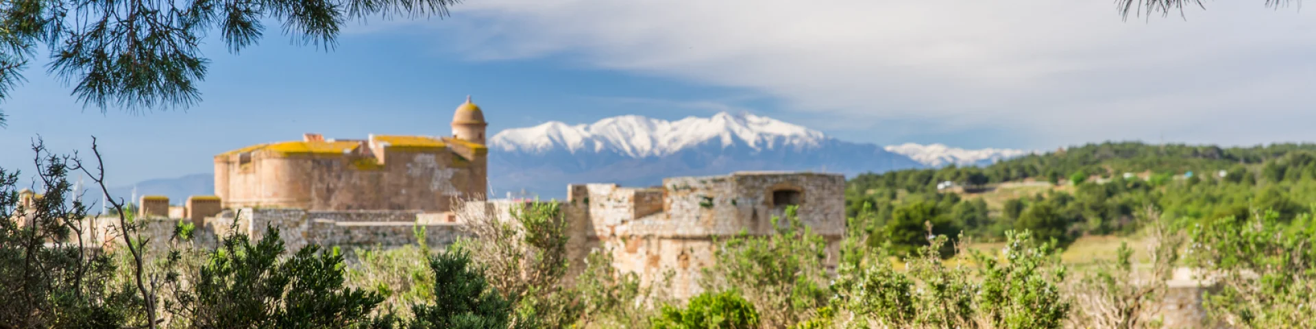 Vue de la forteresse de Salses entourée de végétation méditerranéenne, avec le Canigó enneigé en arrière-plan sous un ciel bleu.