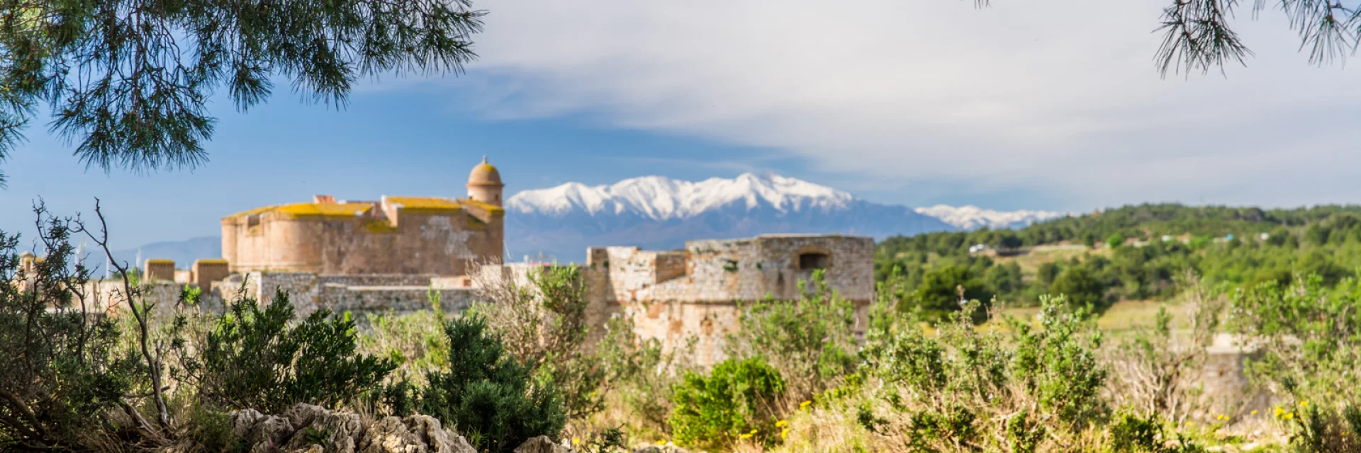 Vue de la forteresse de Salses entourée de végétation méditerranéenne, avec le Canigó enneigé en arrière-plan sous un ciel bleu.