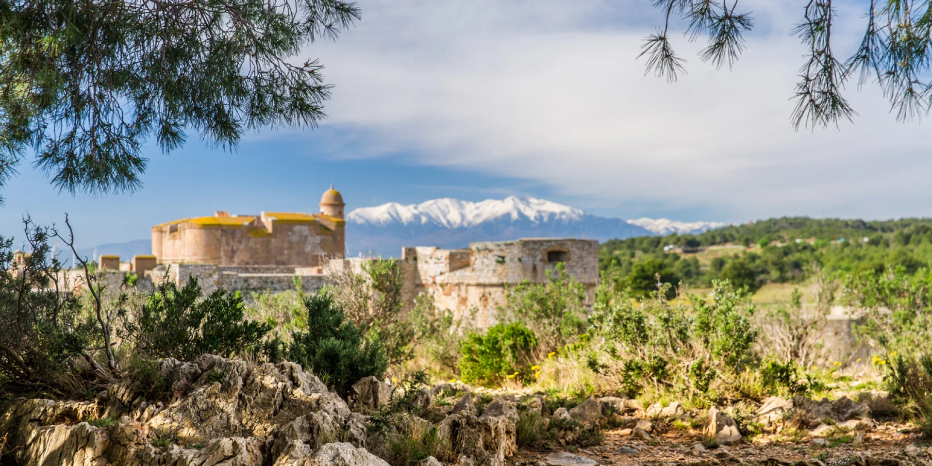 Vue de la forteresse de Salses entourée de végétation méditerranéenne, avec le Canigó enneigé en arrière-plan sous un ciel bleu.