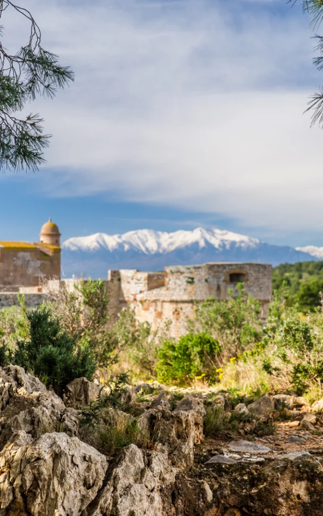 Vue de la forteresse de Salses entourée de végétation méditerranéenne, avec le Canigó enneigé en arrière-plan sous un ciel bleu.