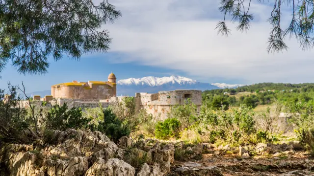 Vue de la forteresse de Salses entourée de végétation méditerranéenne, avec le Canigó enneigé en arrière-plan sous un ciel bleu.