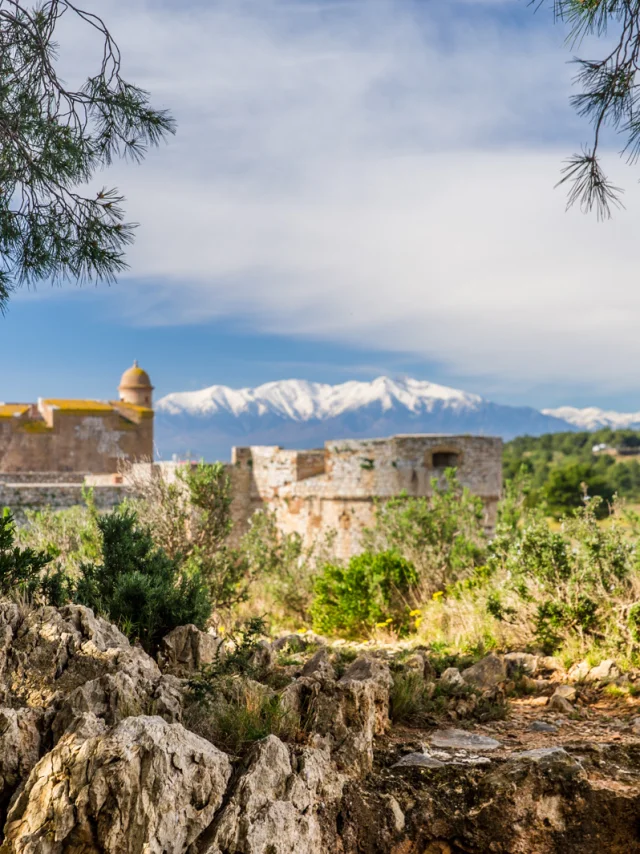 Vue de la forteresse de Salses entourée de végétation méditerranéenne, avec le Canigó enneigé en arrière-plan sous un ciel bleu.