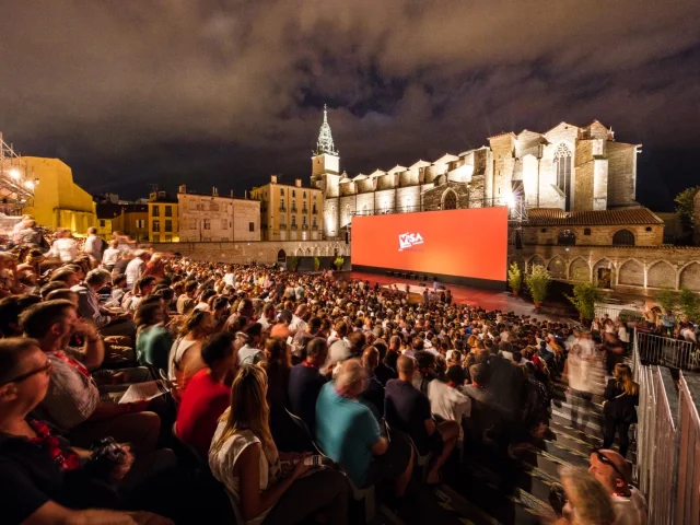 Projection en plein air du festival Visa pour l’Image à Perpignan devant un large public.
