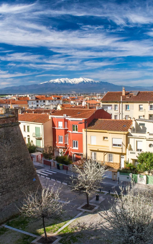 Vue sur les remparts du Palais des Rois de Majorque à Perpignan, avec les toits colorés de la ville et le Canigó enneigé en arrière-plan.