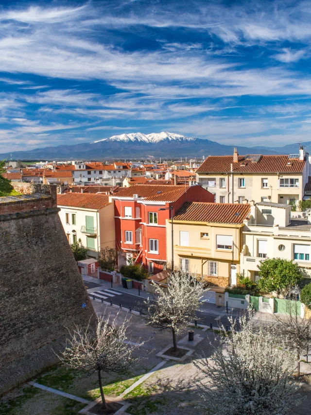 Vue sur les remparts du Palais des Rois de Majorque à Perpignan, avec les toits colorés de la ville et le Canigó enneigé en arrière-plan.
