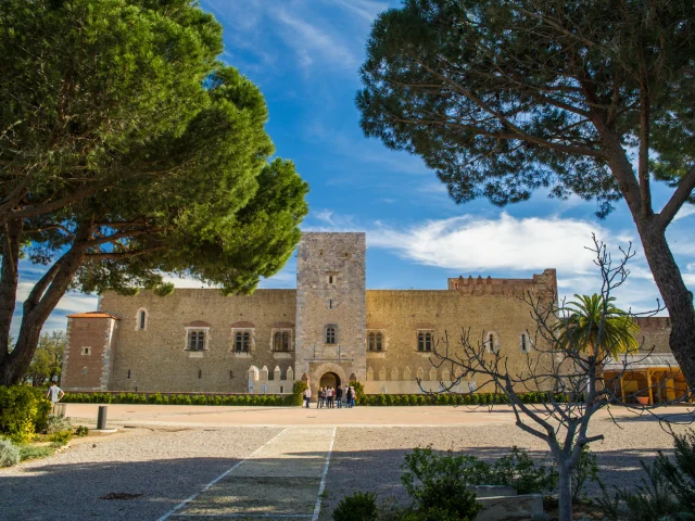 Façade principale du Palais des Rois de Majorque à Perpignan, vue depuis les jardins, encadrée par des pins sous un ciel bleu.