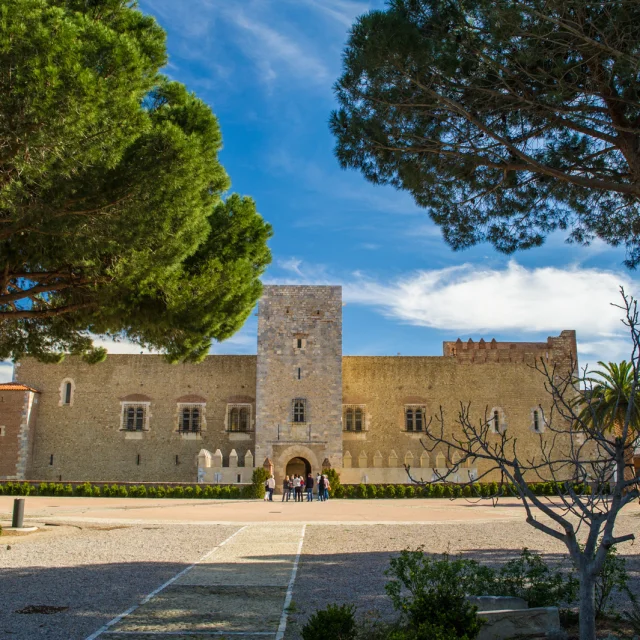 Façade principale du Palais des Rois de Majorque à Perpignan, vue depuis les jardins, encadrée par des pins sous un ciel bleu.