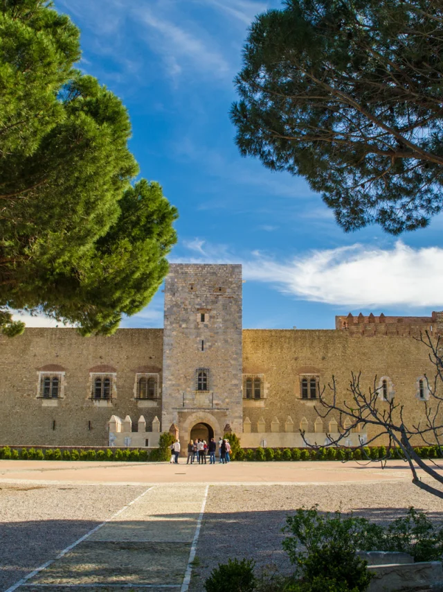 Façade principale du Palais des Rois de Majorque à Perpignan, vue depuis les jardins, encadrée par des pins sous un ciel bleu.