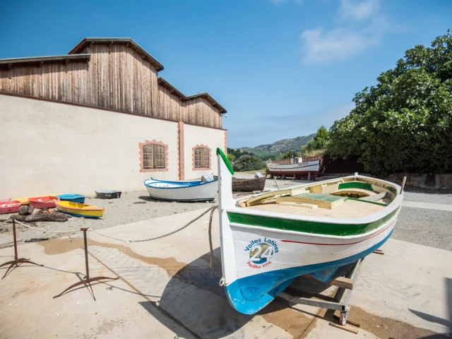 Atelier des barques du site de Paulilles avec plusieurs embarcations traditionnelles catalanes en restauration devant un bâtiment en pierre et bois sous un ciel bleu.