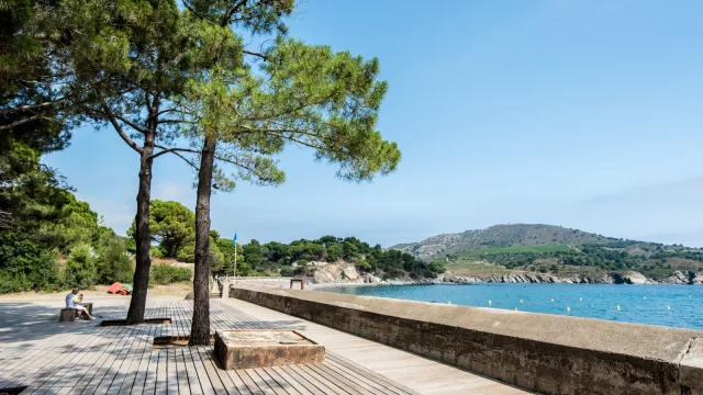 Promenade en bois bordée de pins au bord de la mer, sur le site classé de l’Anse de Paulilles, avec vue sur la baie et les collines verdoyantes de la Côte Vermeille.