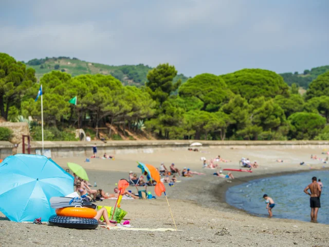 Plage de Paulilles à Port-Vendres, bordée de pins et de collines verdoyantes, avec des vacanciers installés sous des parasols colorés au bord de la mer.