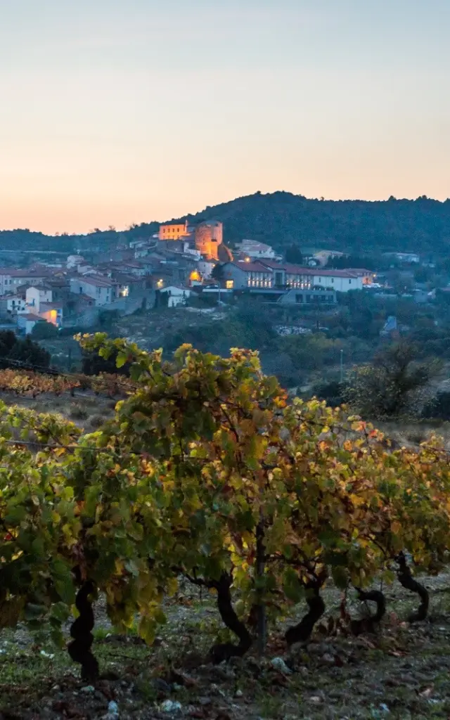 Vignes aux couleurs d’automne au premier plan, avec un village perché éclairé par les lumières du soir sous un ciel pastel.