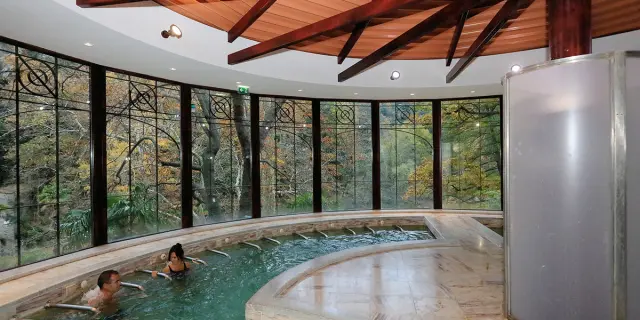 Deux personnes se détendent dans une piscine thermale intérieure entourée de grandes baies vitrées ouvrant sur la forêt.