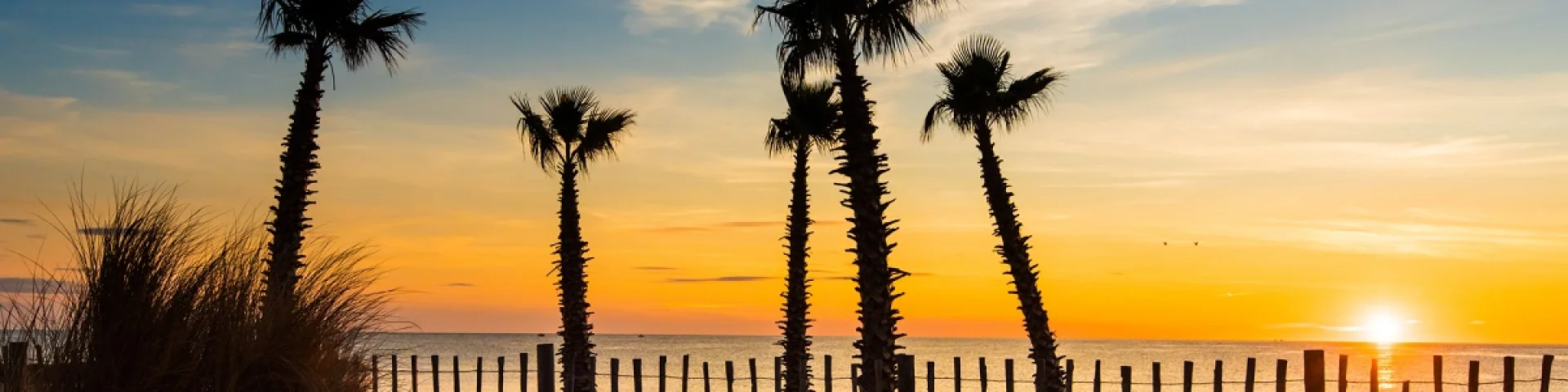 Coucher de soleil sur une plage bordée de palmiers et de dunes dans les Pyrénées-Orientales.