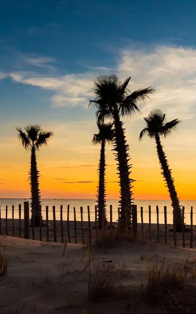 Coucher de soleil sur une plage bordée de palmiers et de dunes dans les Pyrénées-Orientales.