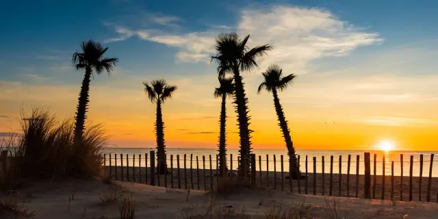 Coucher de soleil sur une plage bordée de palmiers et de dunes dans les Pyrénées-Orientales.