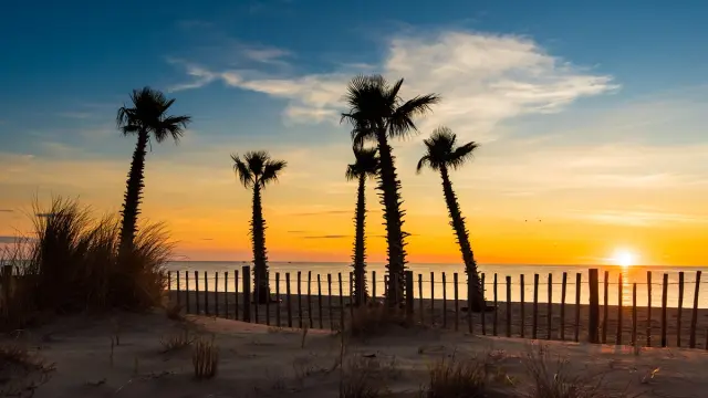 Coucher de soleil sur une plage bordée de palmiers et de dunes dans les Pyrénées-Orientales.