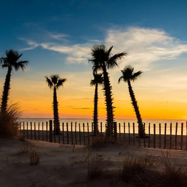 Coucher de soleil sur une plage bordée de palmiers et de dunes dans les Pyrénées-Orientales.