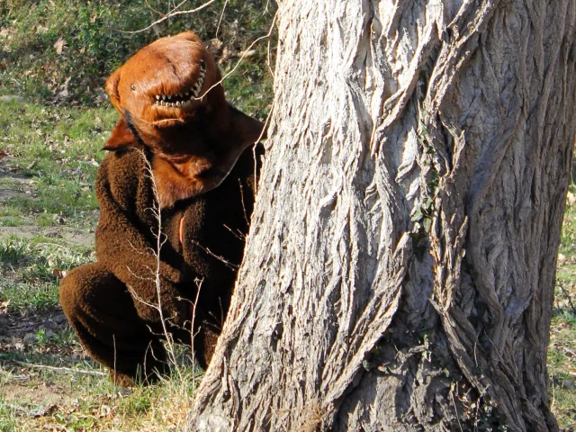 Personnage déguisé en ours lors de la Fête de l’Ours, caché derrière un arbre dans un décor naturel des Pyrénées.