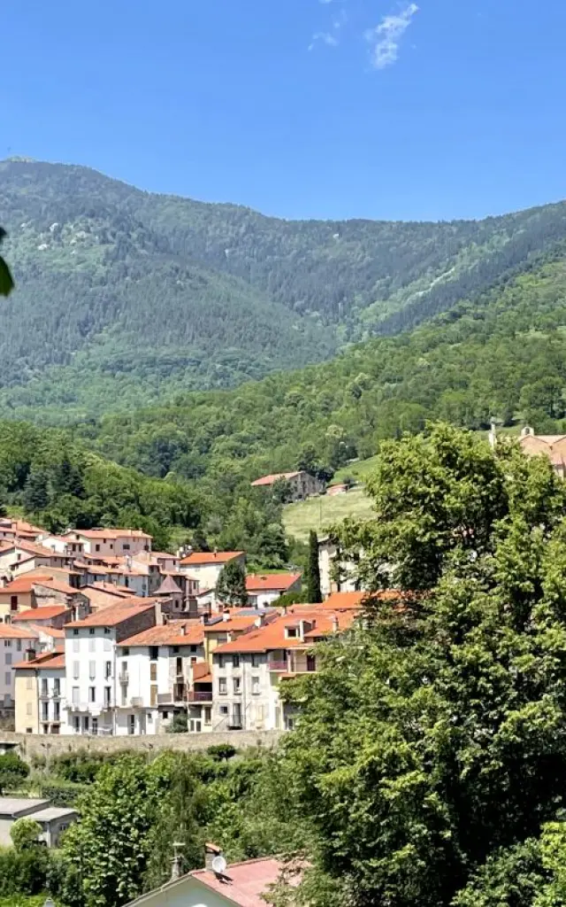 Vue générale du village fortifié de Prats-de-Mollo-La-Preste, dominé par l’église Saintes-Juste-et-Ruffine, au cœur des montagnes verdoyantes du Haut-Vallespir.