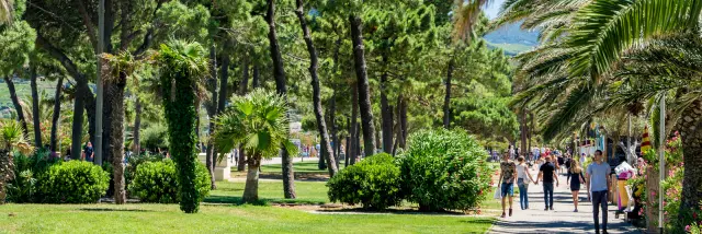 Promenade piétonne bordée de palmiers et de pins, animée par des promeneurs sous le soleil, dans un cadre verdoyant et méditerranéen.
