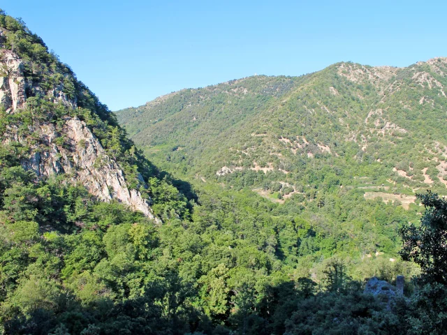 Paysage de montagne verdoyante dans le massif du Canigó, avec vallées boisées et reliefs escarpés sous un ciel bleu.