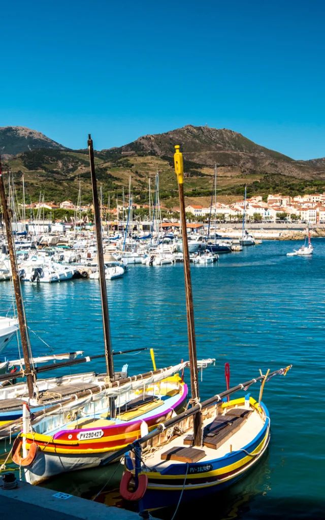 Port de Banyuls-sur-Mer avec ses barques catalanes colorées et ses bateaux de plaisance amarrés, sur fond de collines verdoyantes et de ciel bleu.