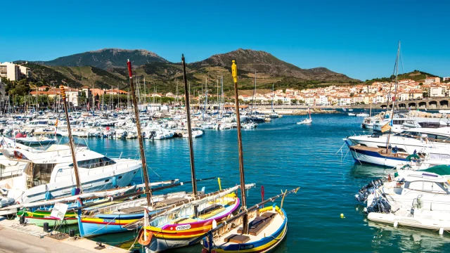 Port de Banyuls-sur-Mer avec ses barques catalanes colorées et ses bateaux de plaisance amarrés, sur fond de collines verdoyantes et de ciel bleu.