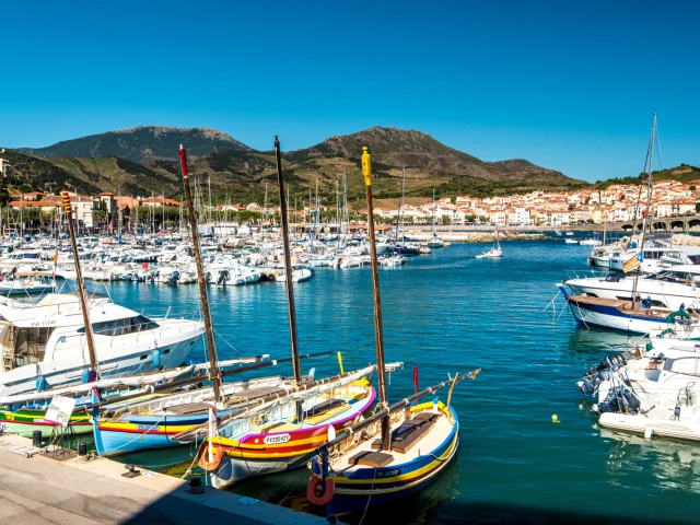 Port de Banyuls-sur-Mer avec ses barques catalanes colorées et ses bateaux de plaisance amarrés, sur fond de collines verdoyantes et de ciel bleu.